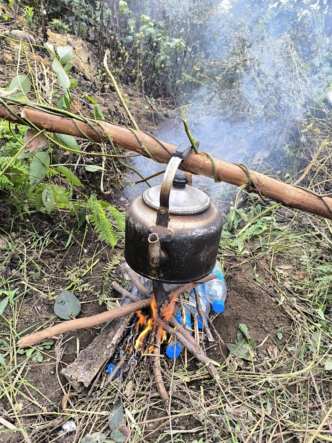 体验了一把林业员的日常