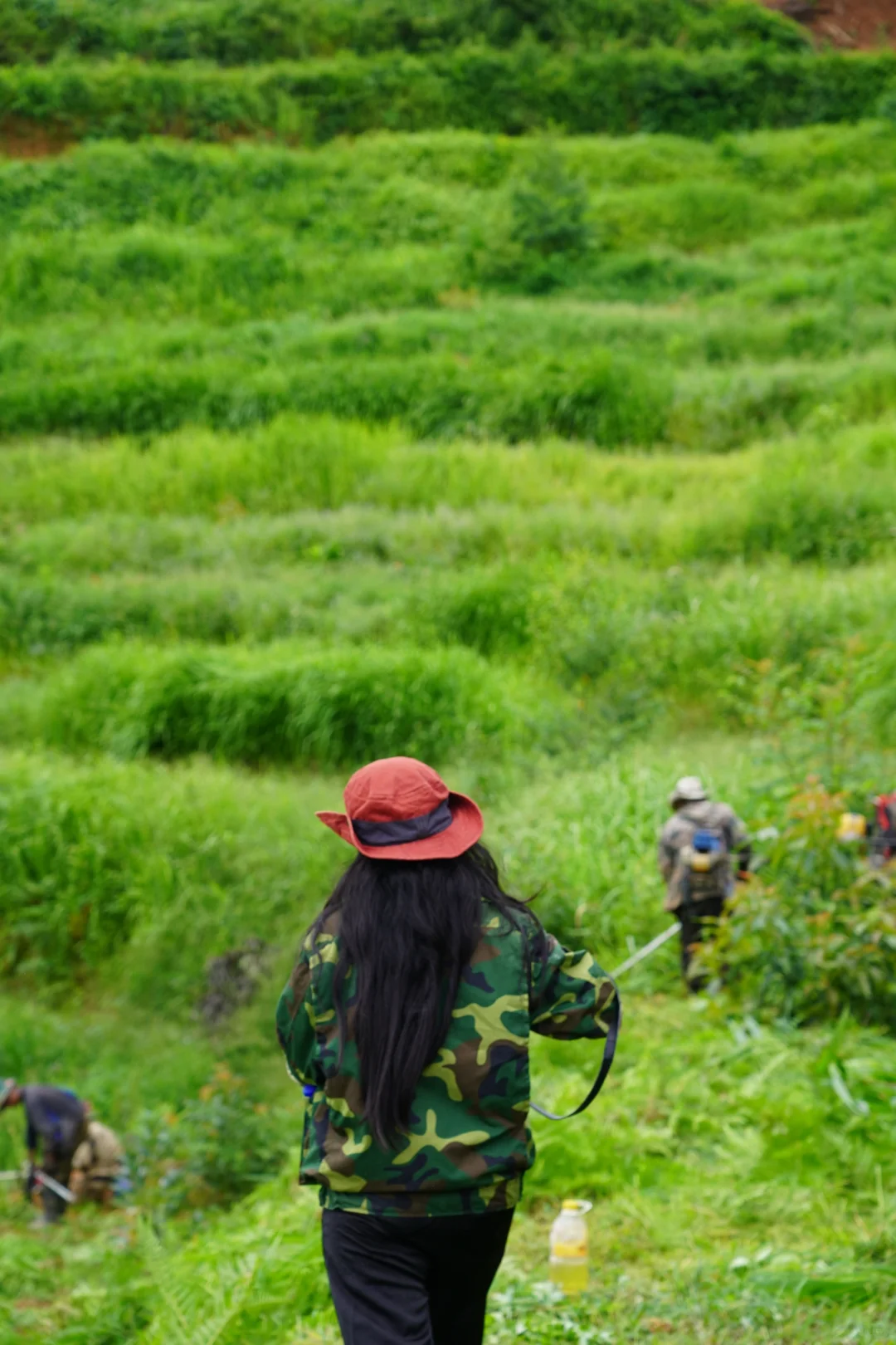 坚持人工除草！是新农人的第一步坚守……