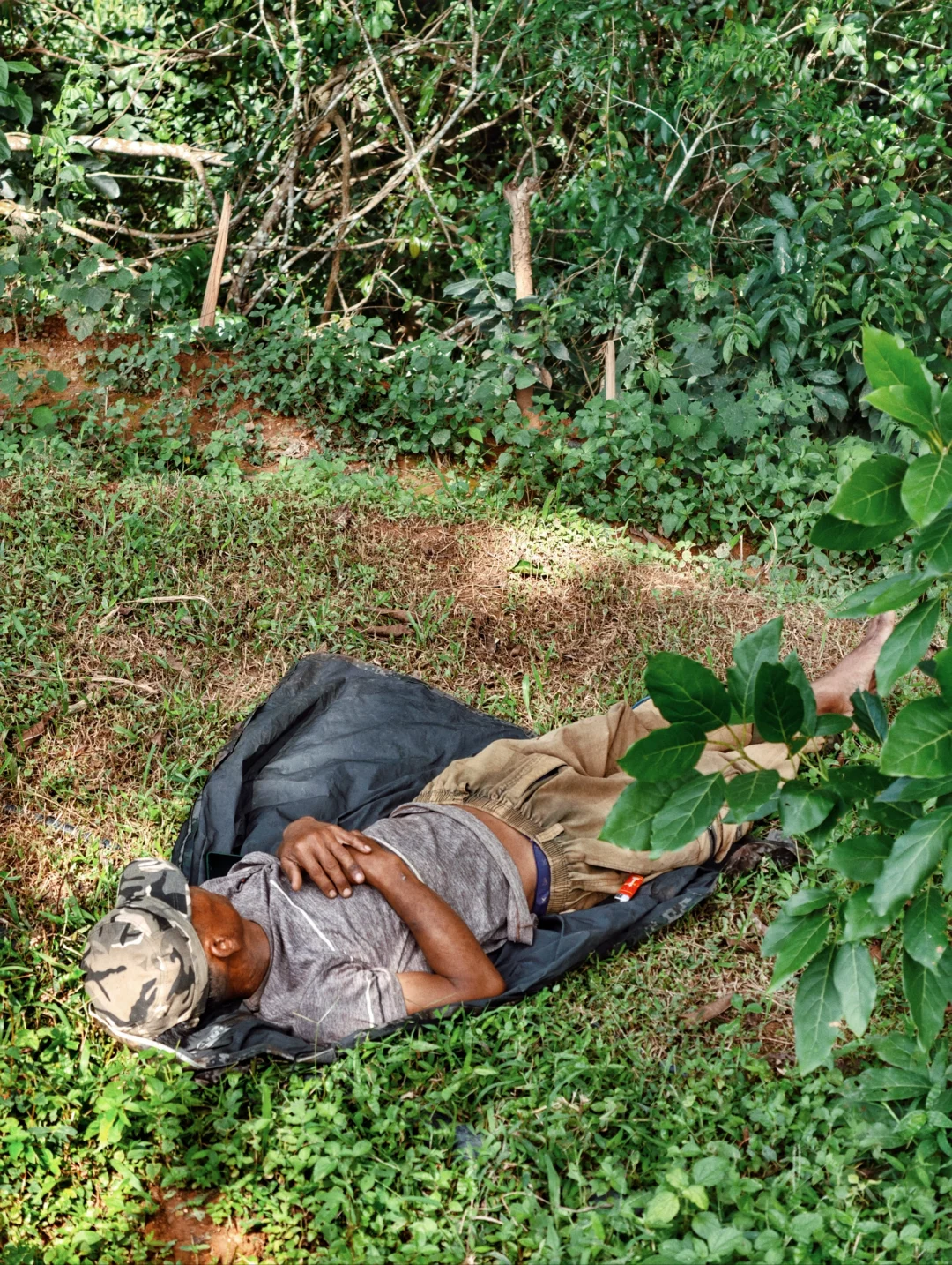 坚持人工除草！是新农人的第一步坚守……