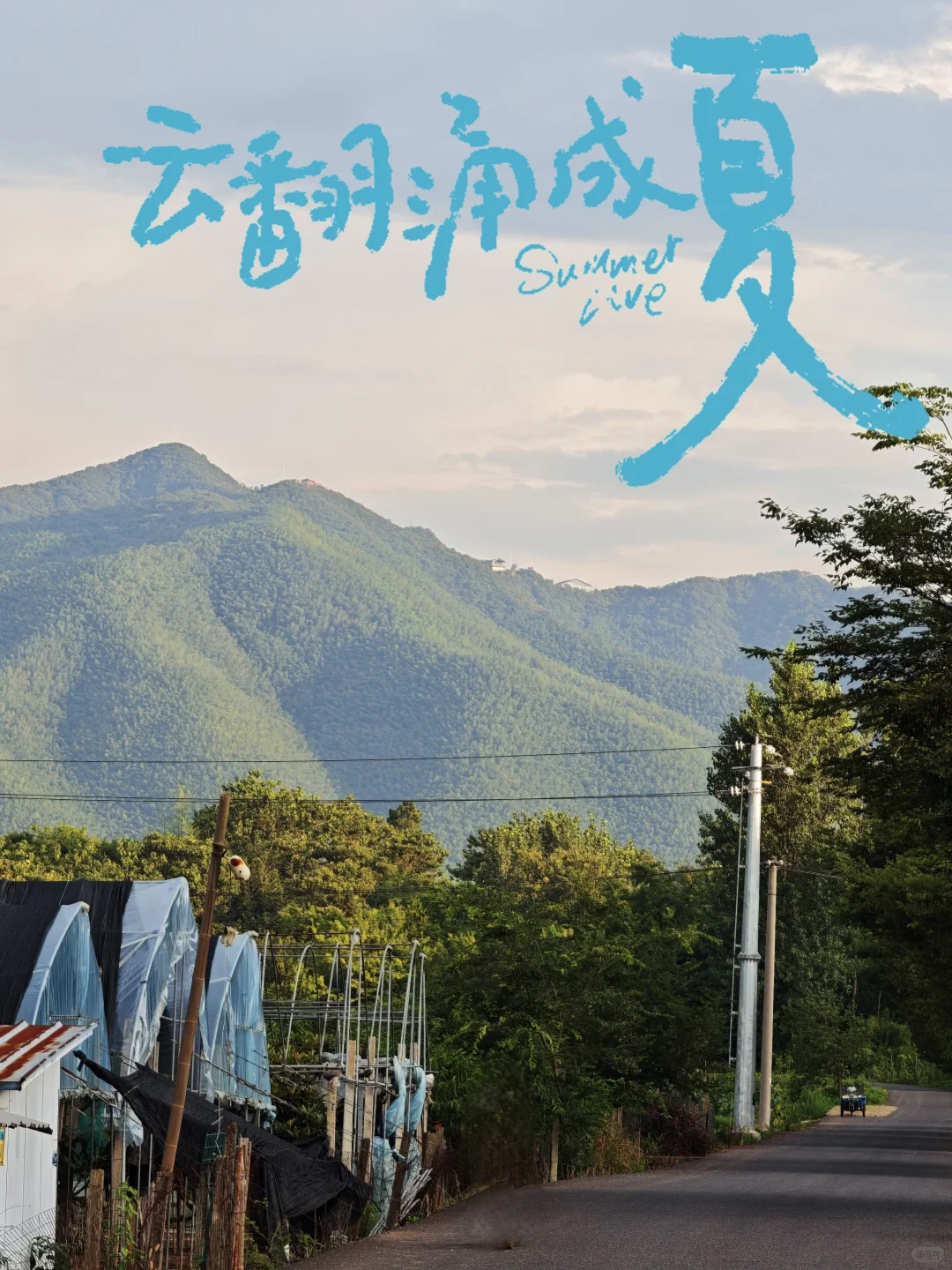 山居:七月的田野，远山、晨光、作物