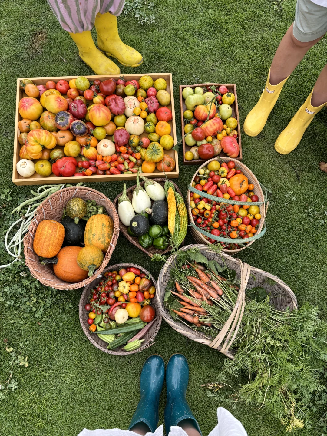 拥有农场主好朋友，提前10年过上梦想的生活