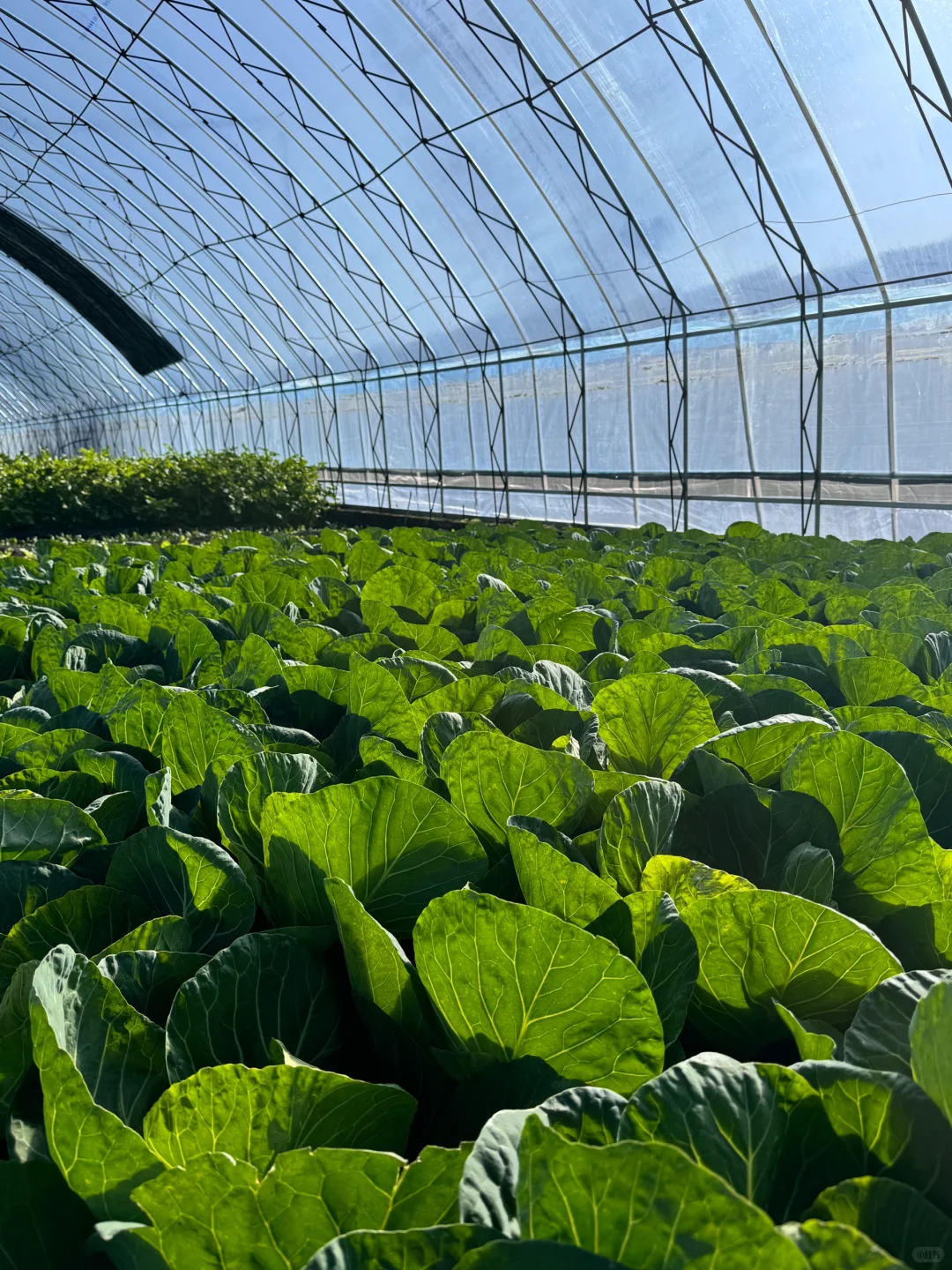 十二月也要加油哦