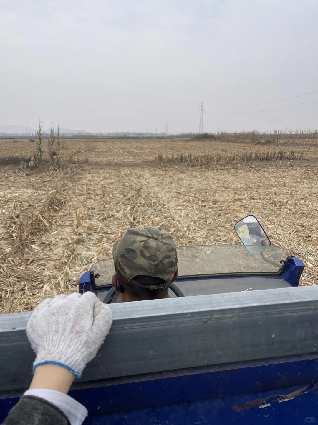 算了 和你们城里人说不清掰玉米👩‍🌾的快乐