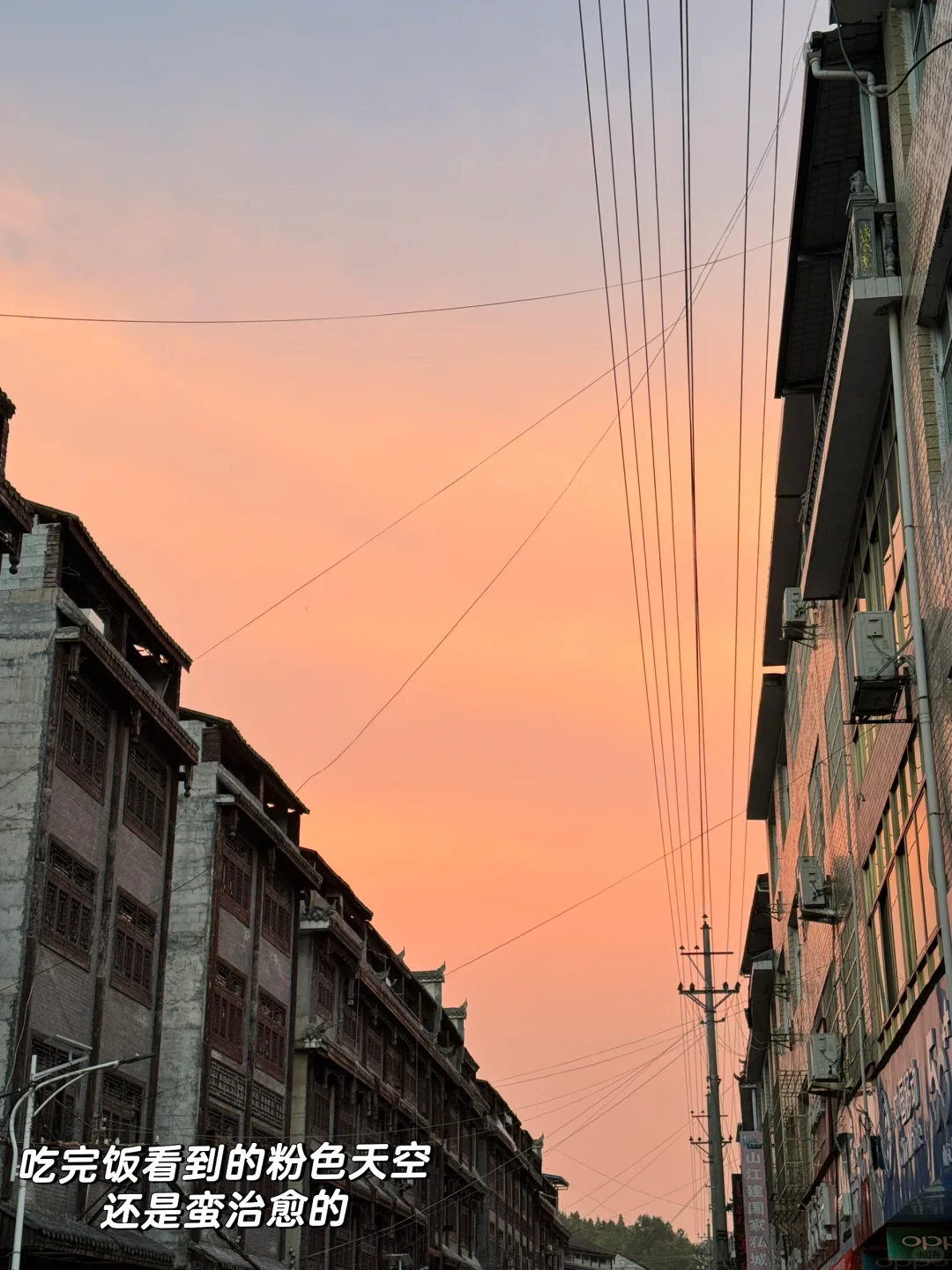 林业女研究生外业日常🧩