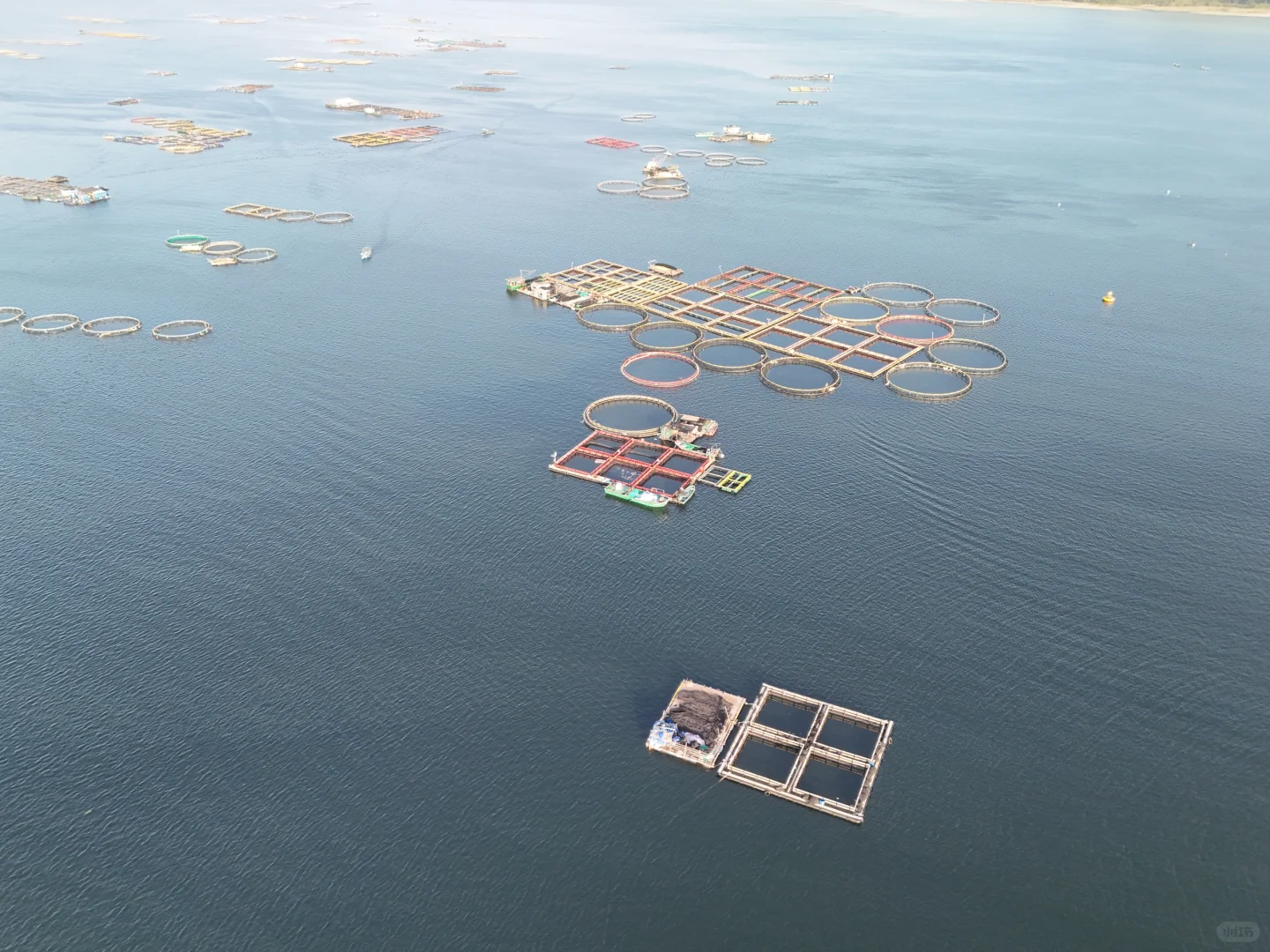 赶海的尽头是海钓的开始🌊