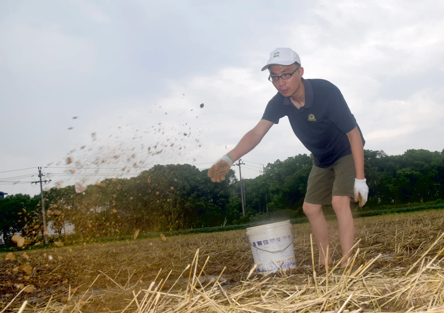 生态农场的机械困境：抢不过大户｜稻蚕共生