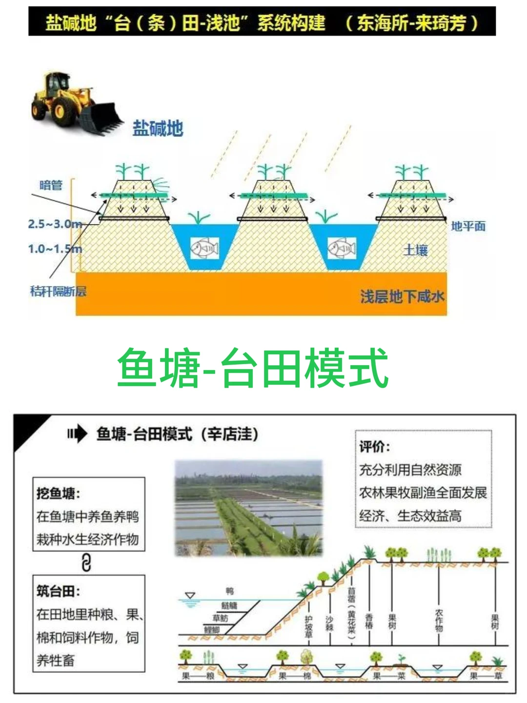 高中地理知识：3️⃣种立体农业