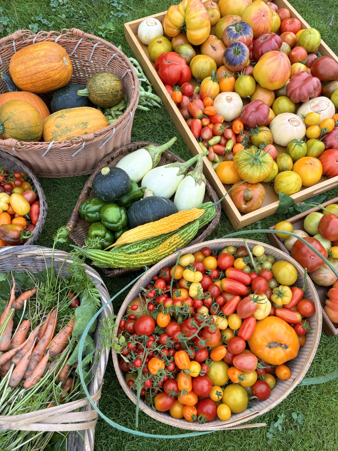 拥有农场主好朋友，提前10年过上梦想的生活