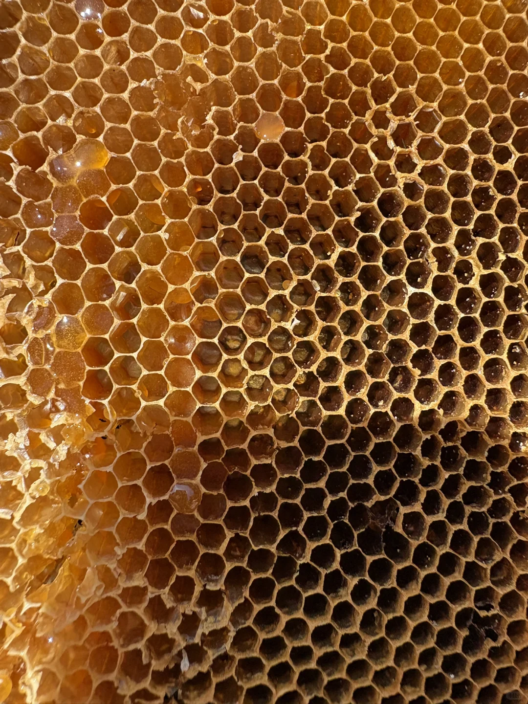 事业编林场入职第二十三天