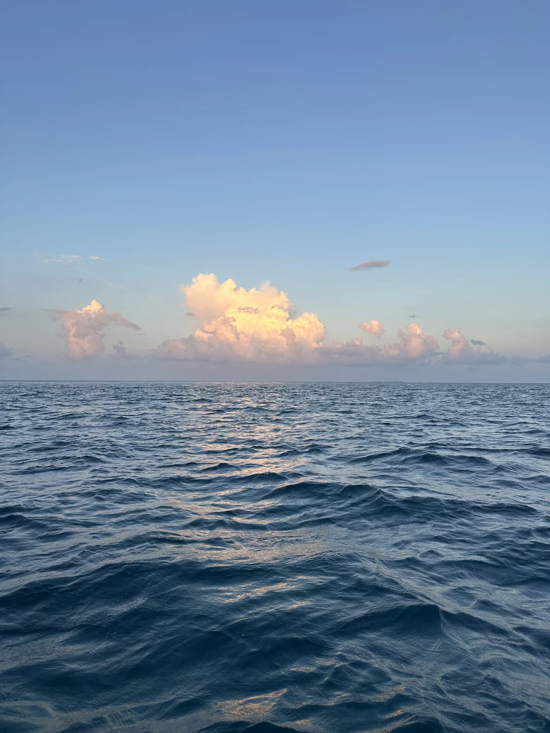 出海小记🐠𓇼 ᵕ̈ ˚ ༘🎣