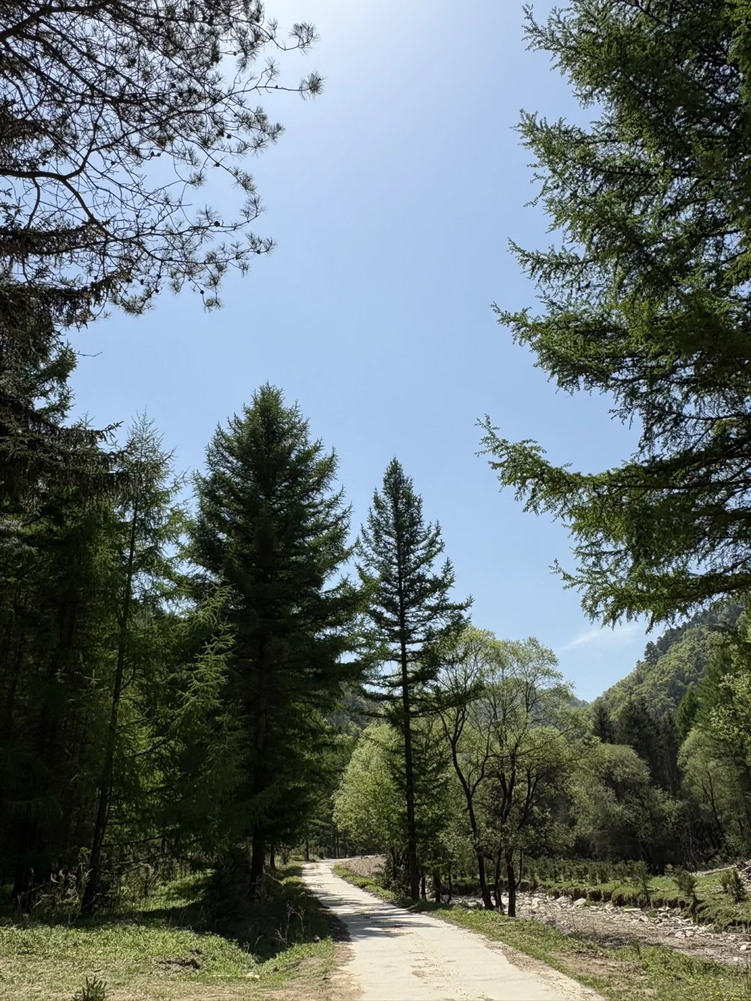 事业编林场入职第二十三天