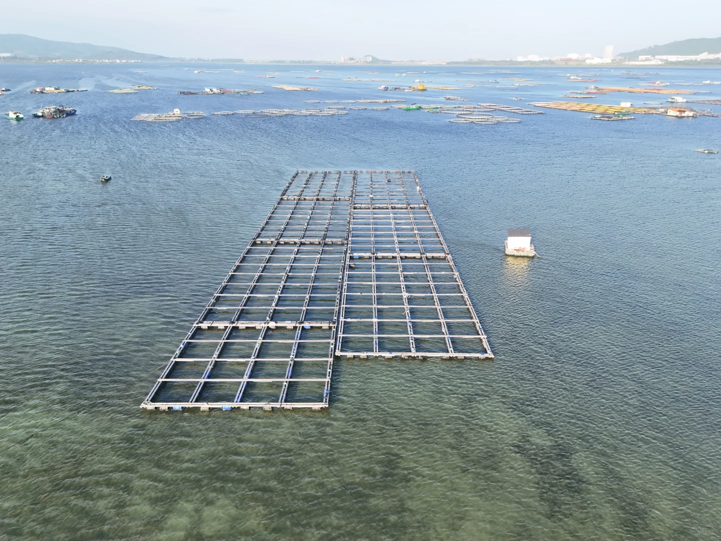 赶海的尽头是海钓的开始🌊