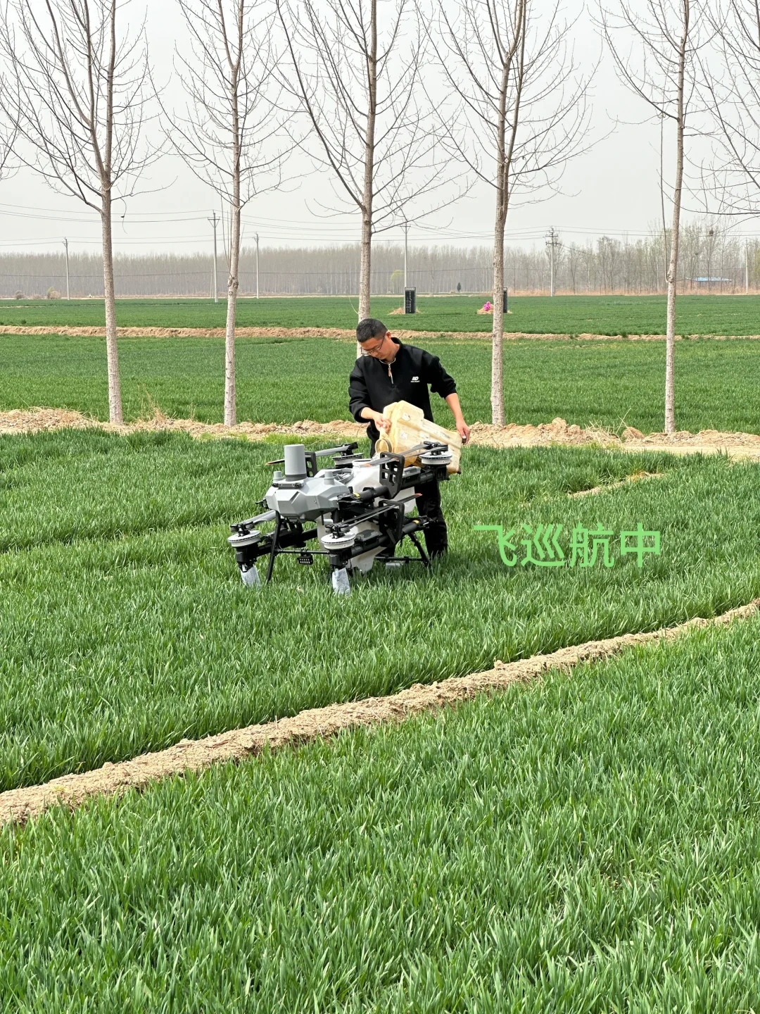 🌾【科技赋能农业，大疆无人机助力丰收】🌾
