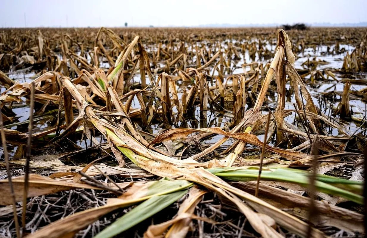 河南遭遇近25年以来最严重旱情 让人心疼！