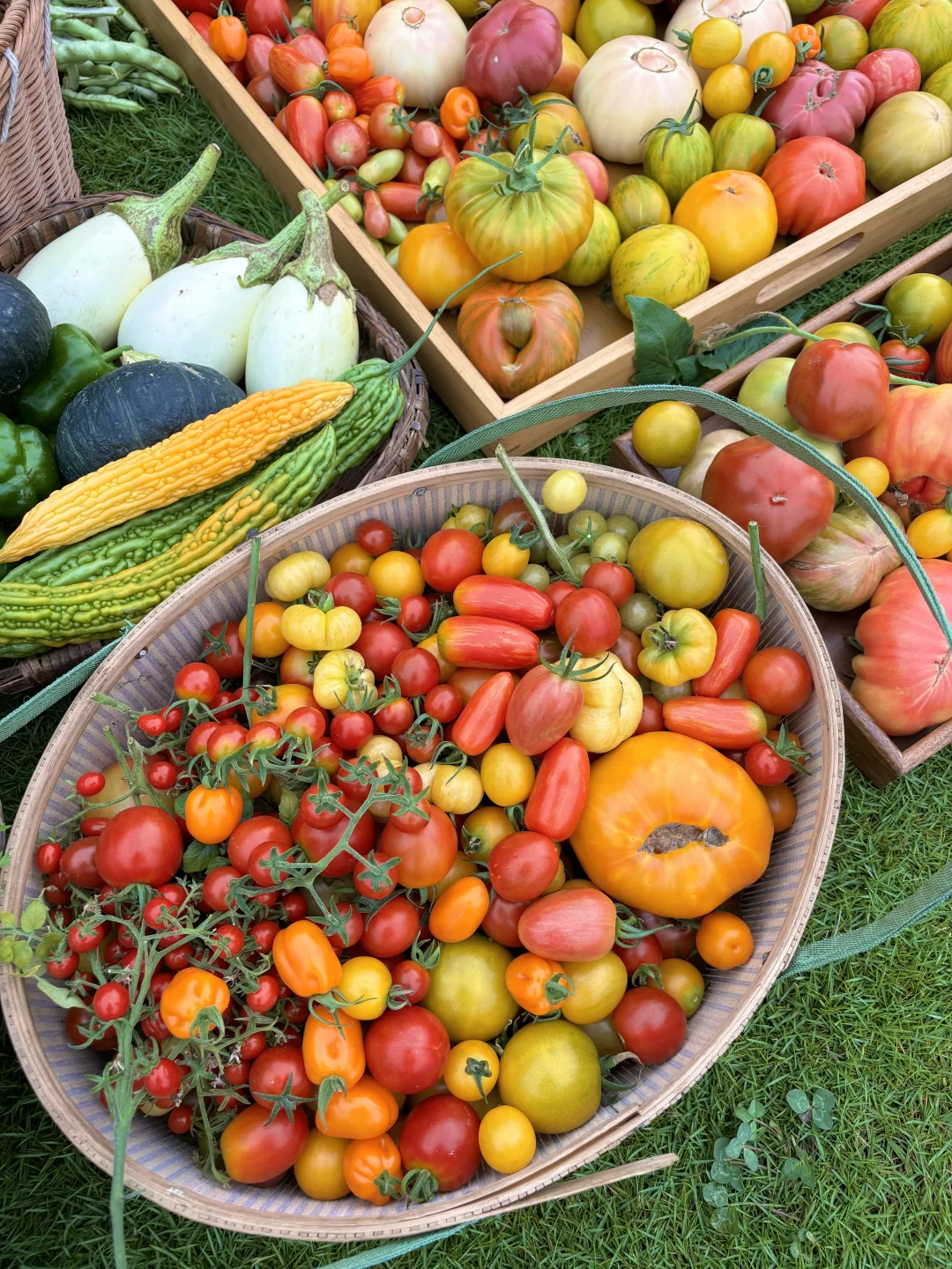 拥有农场主好朋友，提前10年过上梦想的生活
