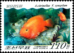 朝鲜海洋鱼类资源