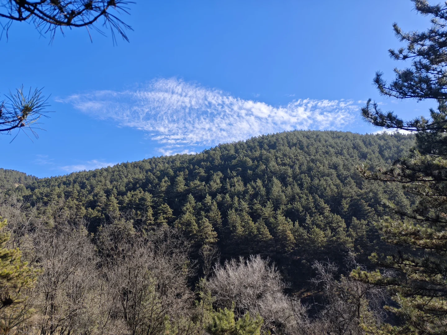 今年外调终于要结束了！