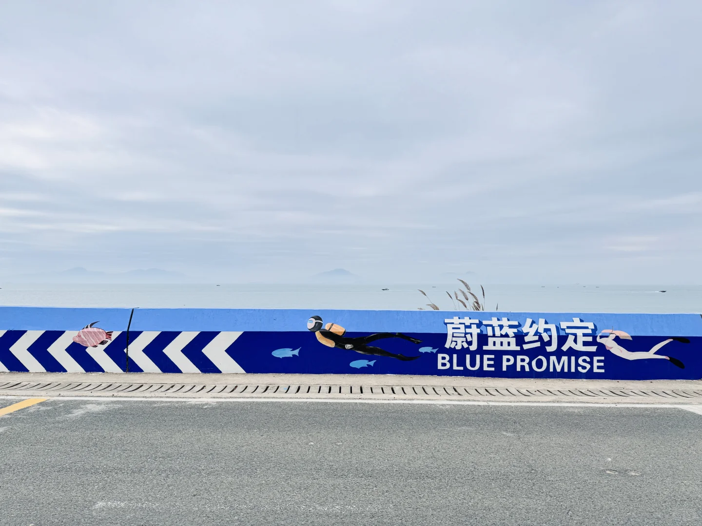 记录【惠东•巽寮湾】11.29晴