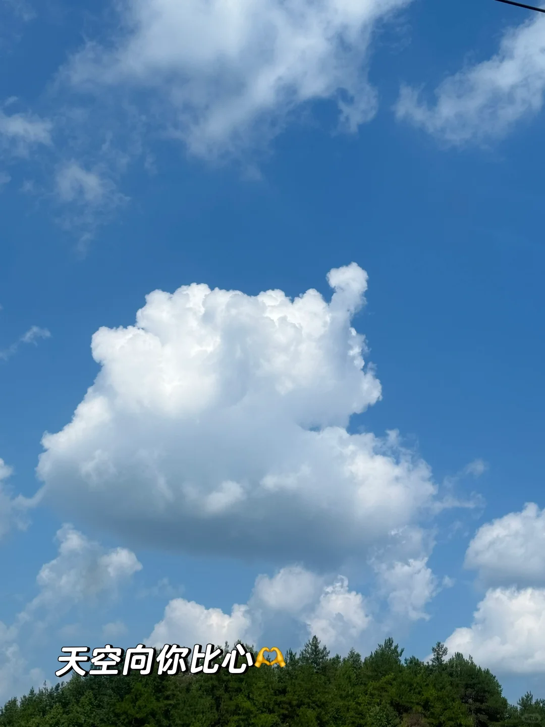 林业女研究生外业日常🧩