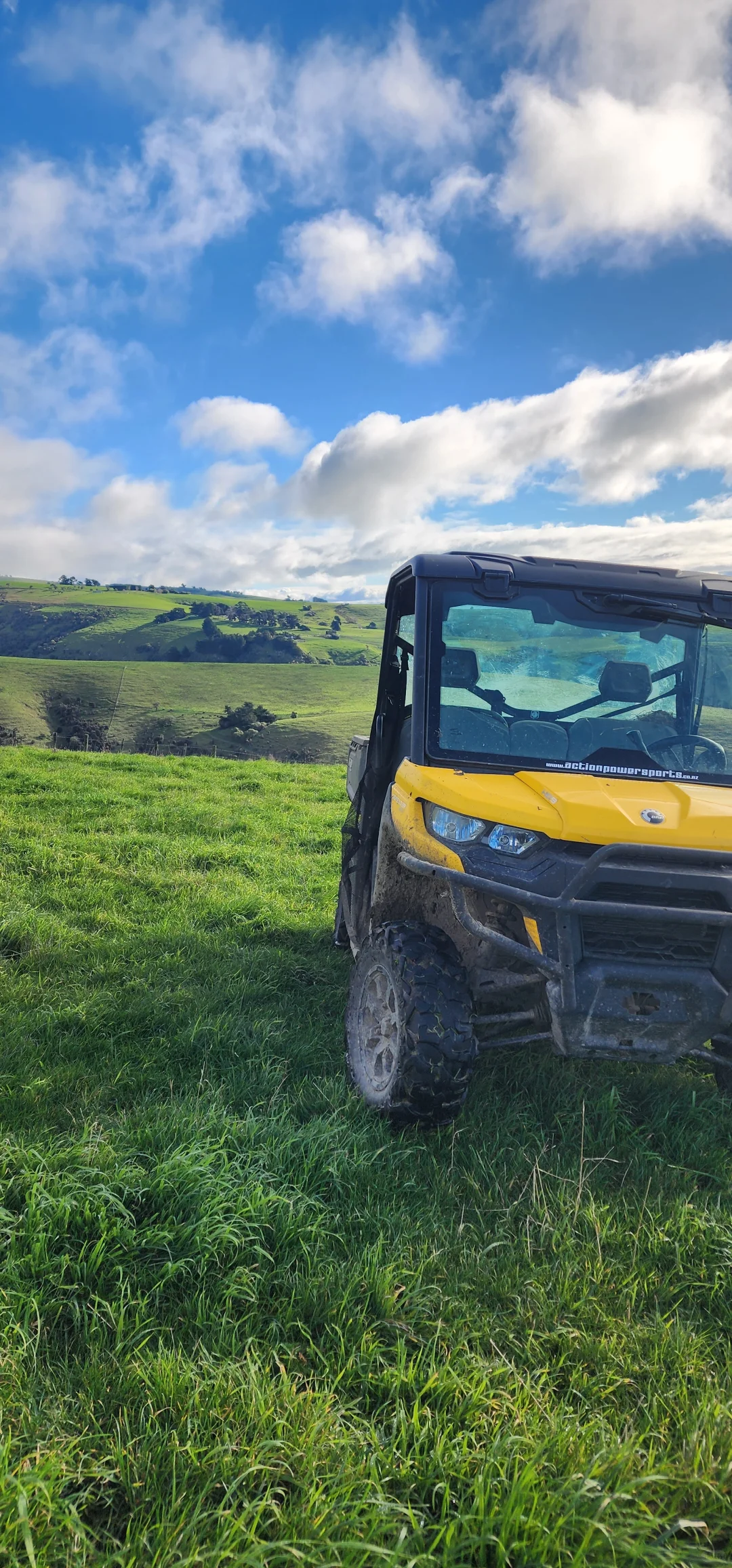 在新西兰做个牧场主的体验