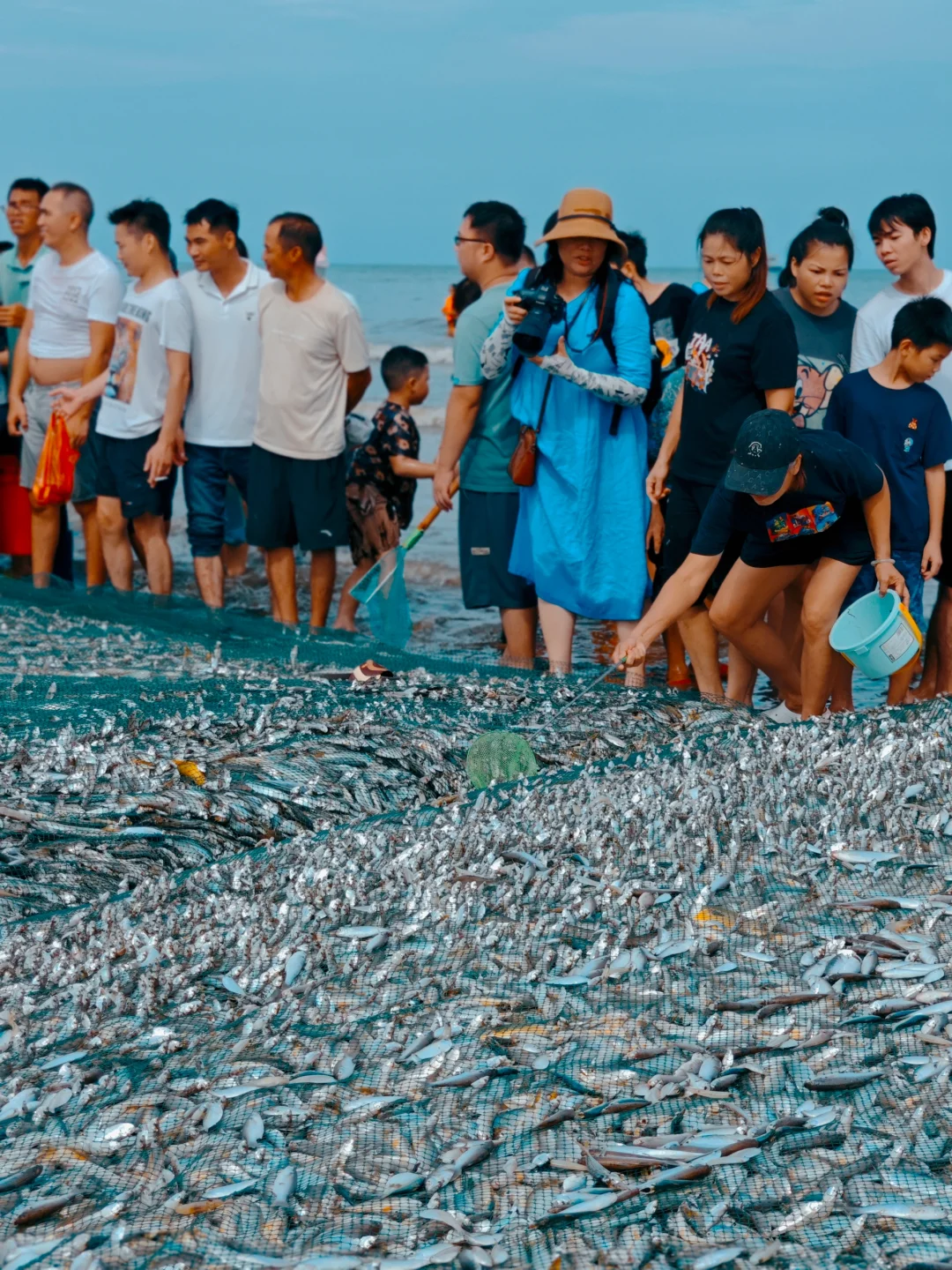 湛江开海啦|丰收季🐟