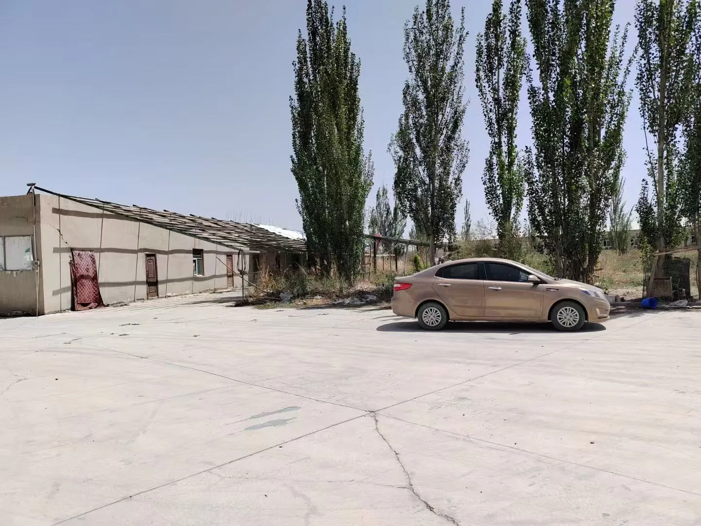 大型养猪场出租