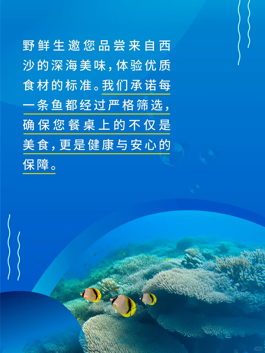 西沙渔荻–深海的珍馐馈赠