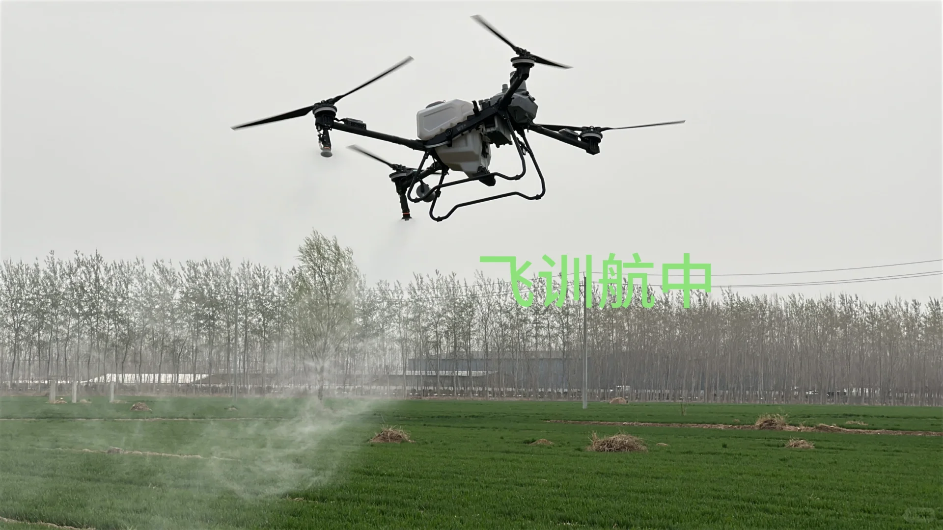 🌾【科技赋能农业，大疆无人机助力丰收】🌾