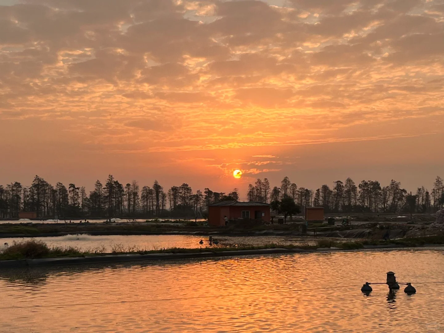 00后水产养殖户的一天