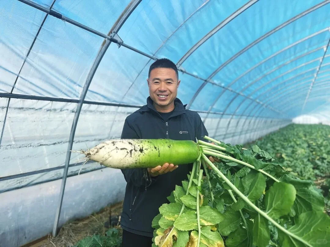 🍂 秋日丰收图鉴