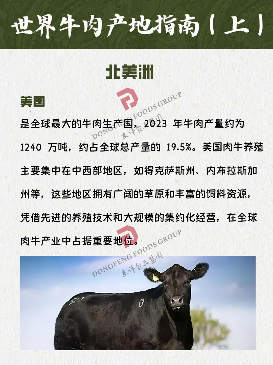 🌎 世界牛肉产地指南（上）