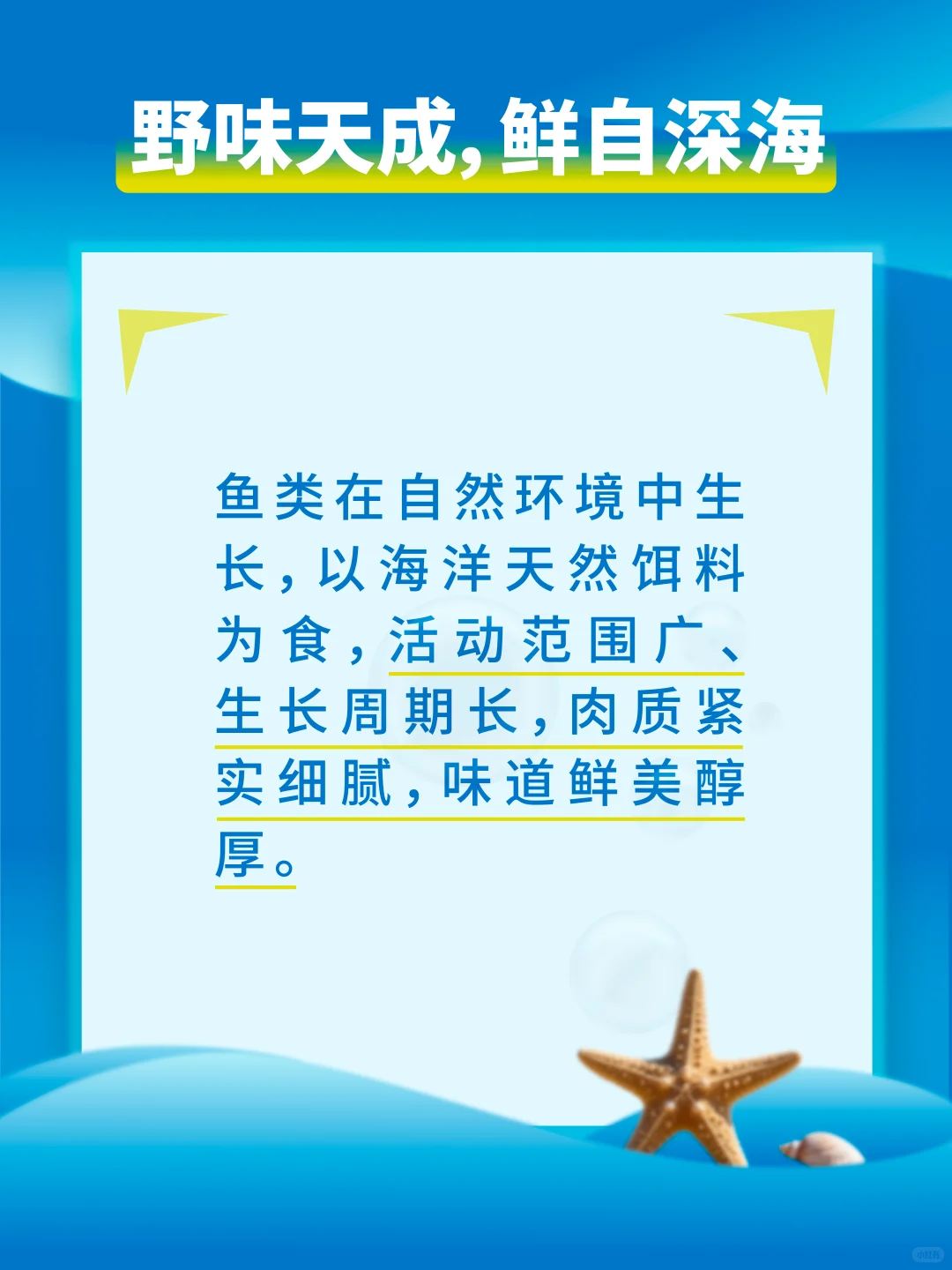 西沙渔荻–深海的珍馐馈赠