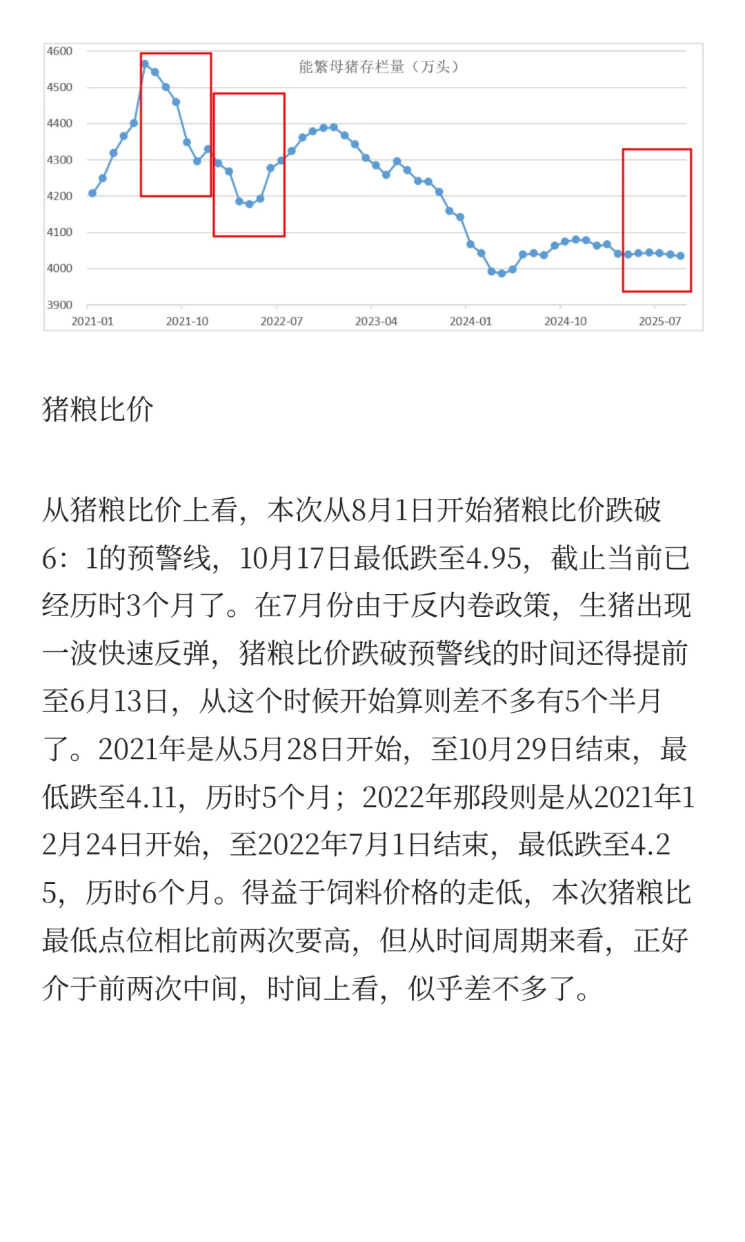 生猪会不会在筑大底