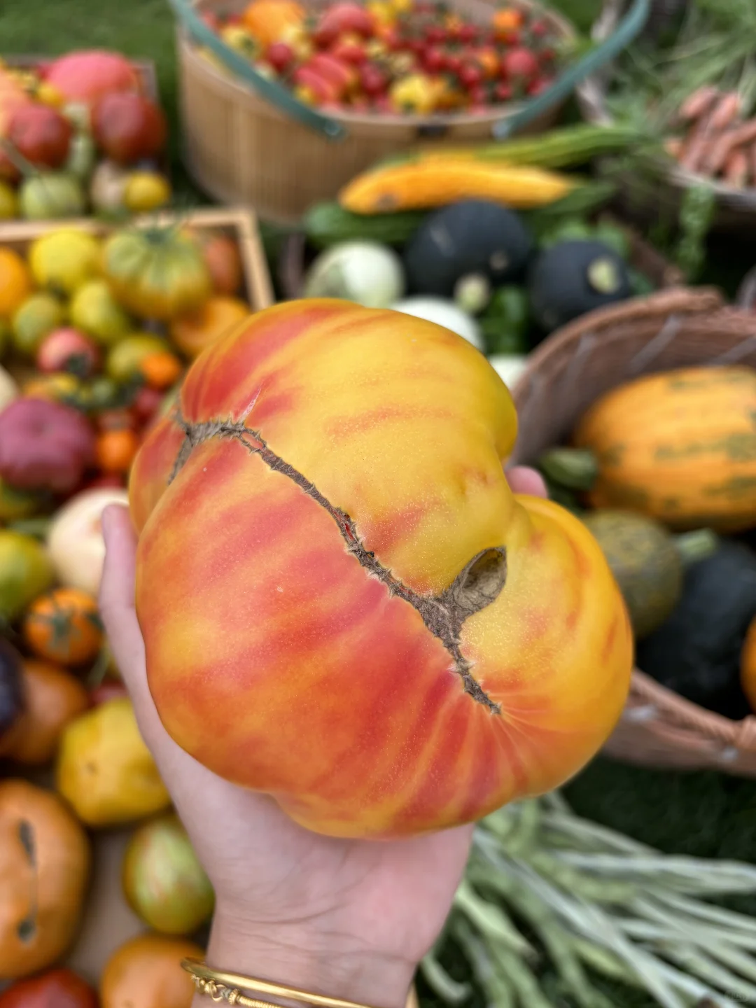 拥有农场主好朋友，提前10年过上梦想的生活