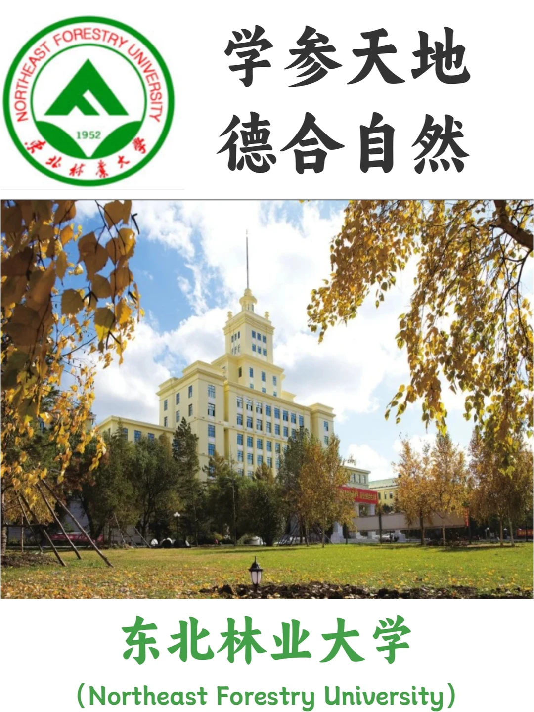 东北林业大学：绿意盎然，学术芬芳