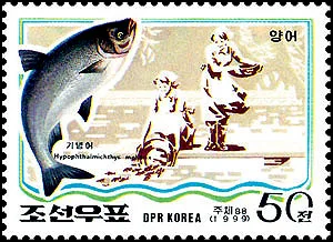 朝鲜海洋鱼类资源