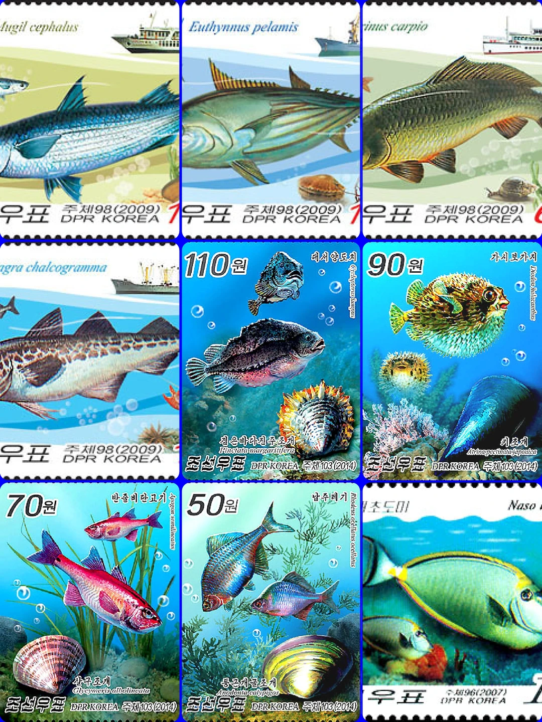 朝鲜海洋鱼类资源