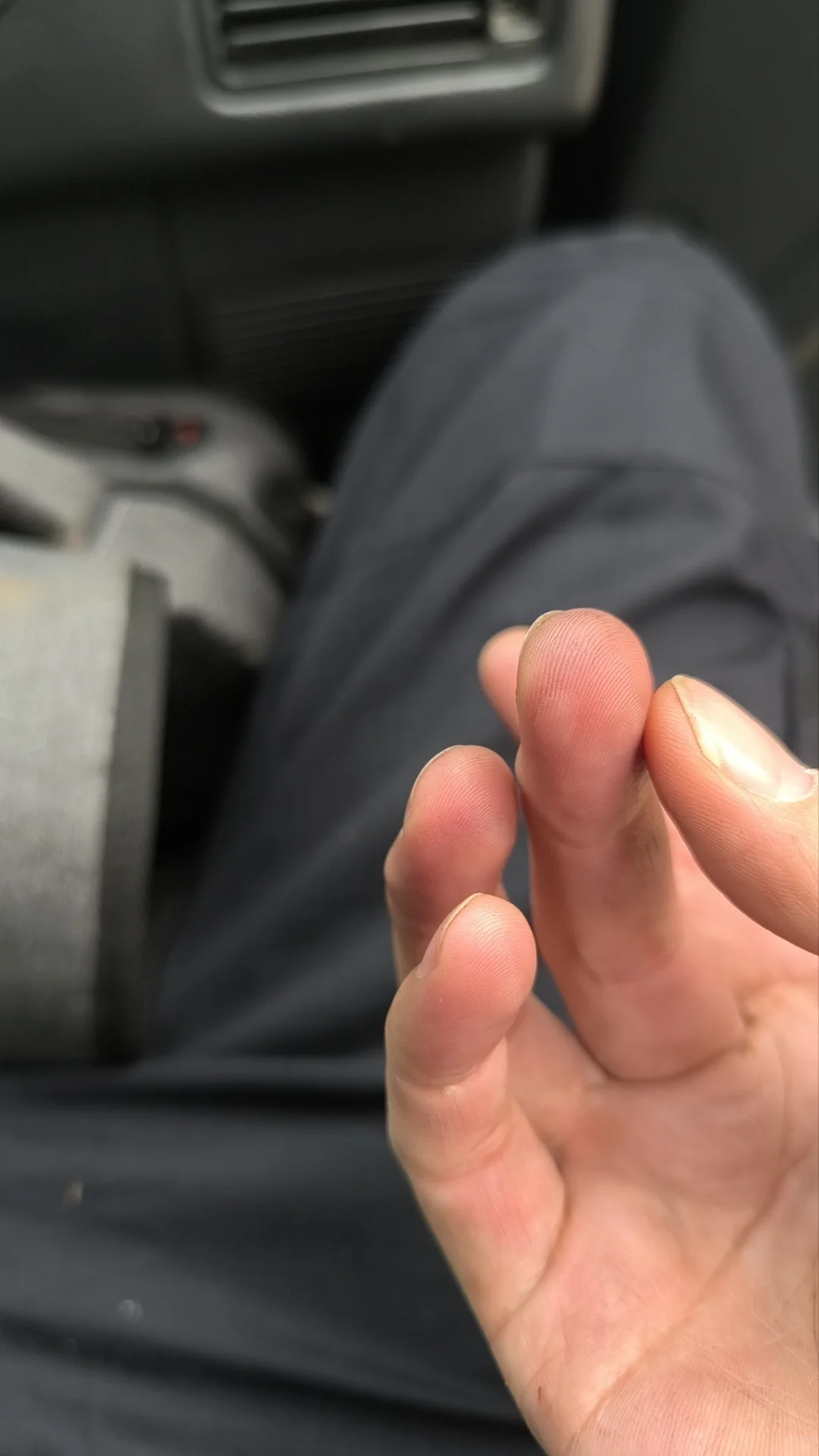 体验了一把林业员的日常