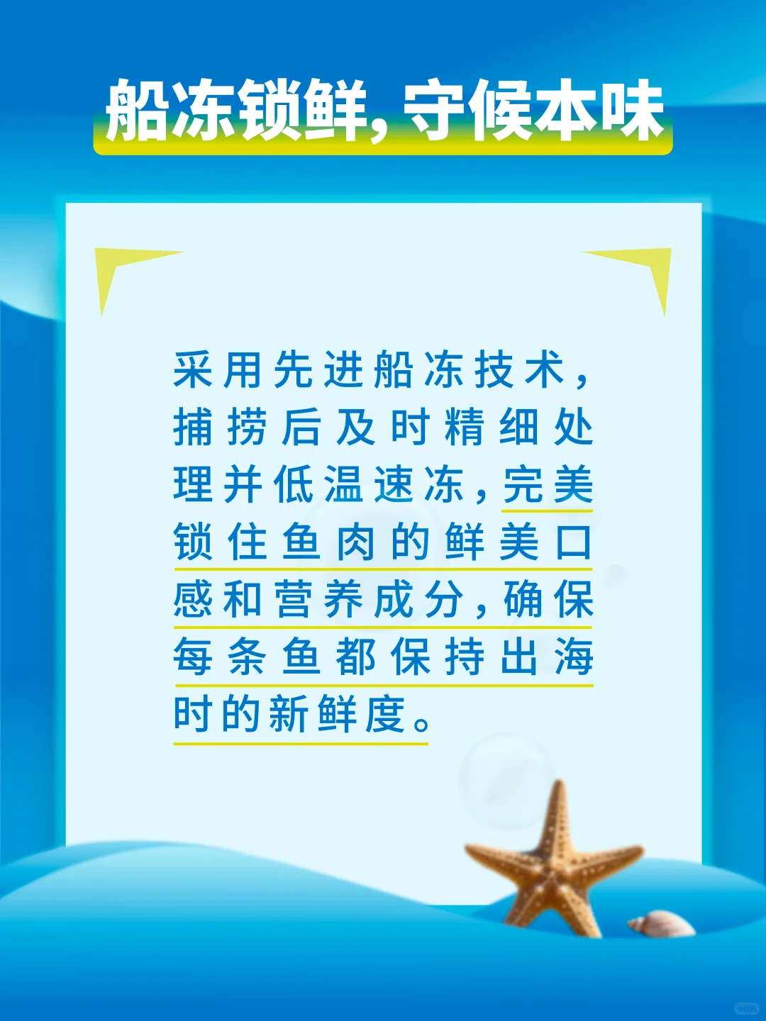 西沙渔荻–深海的珍馐馈赠