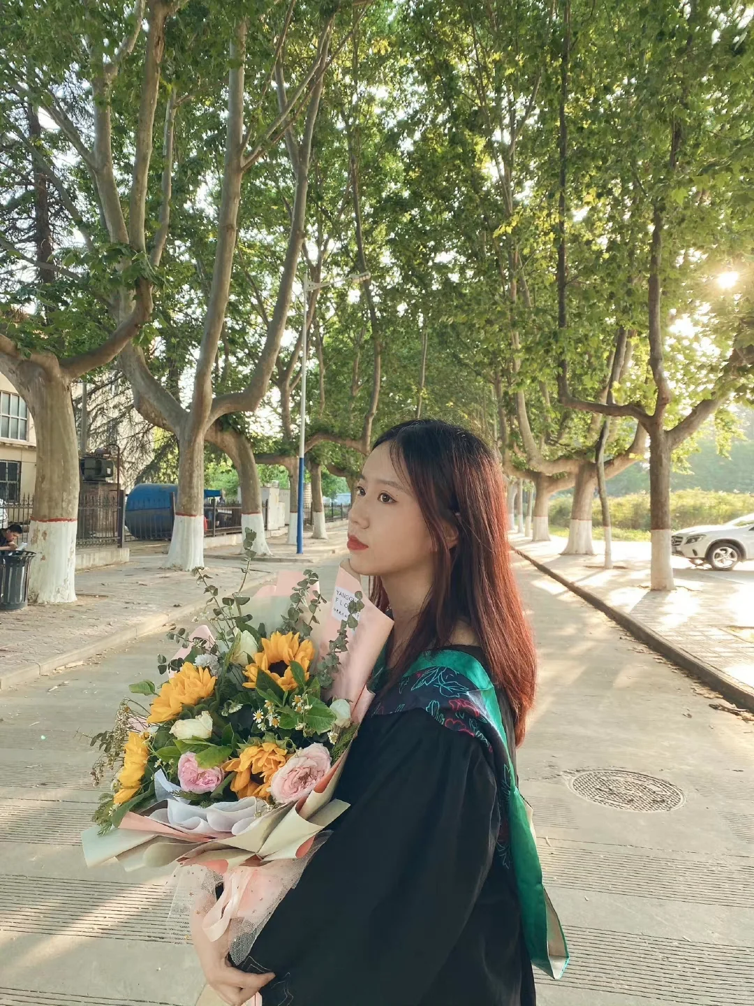 林学到底是什么东西我浅谈一下