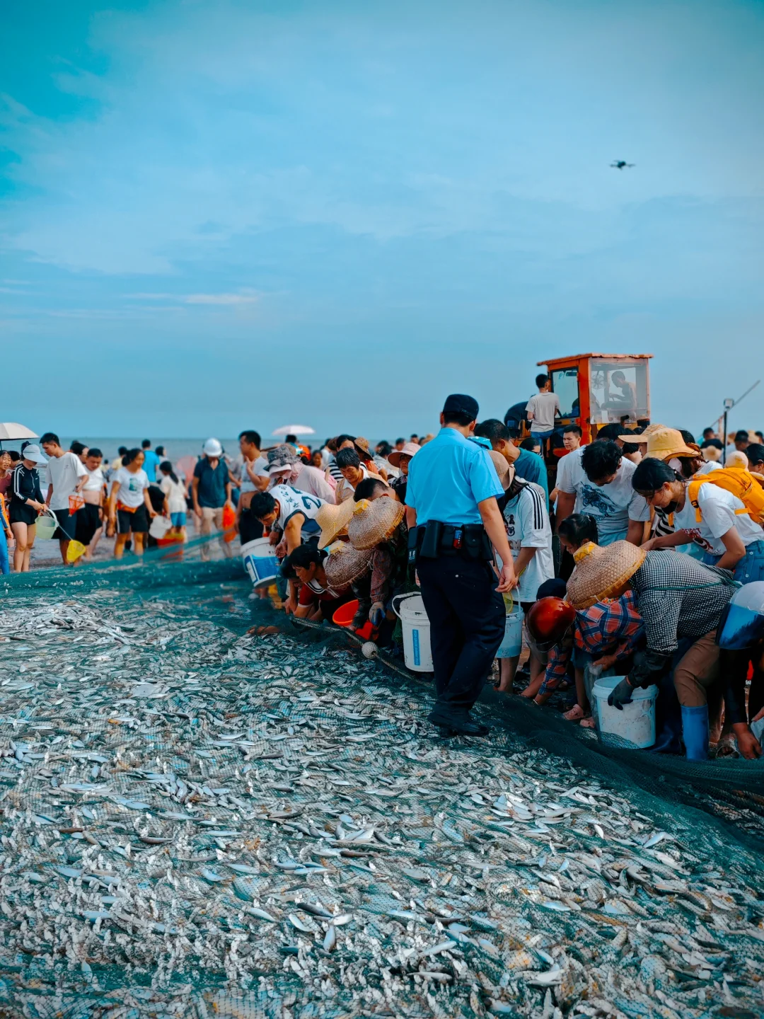 湛江开海啦|丰收季🐟