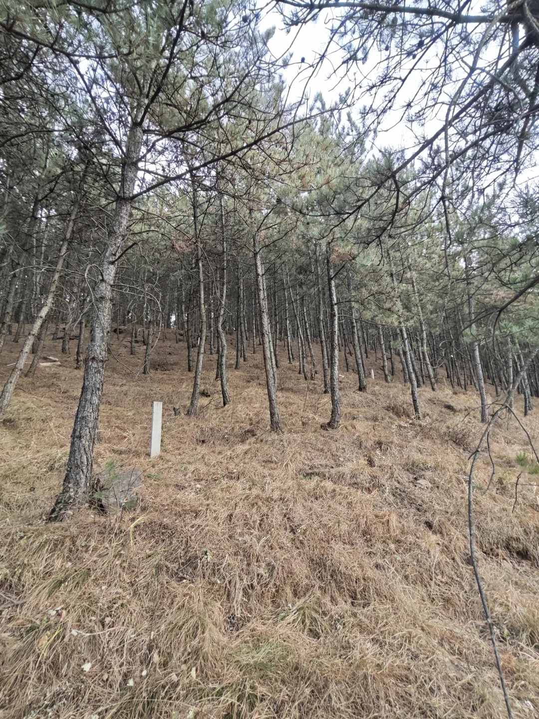 今年外调终于要结束了！