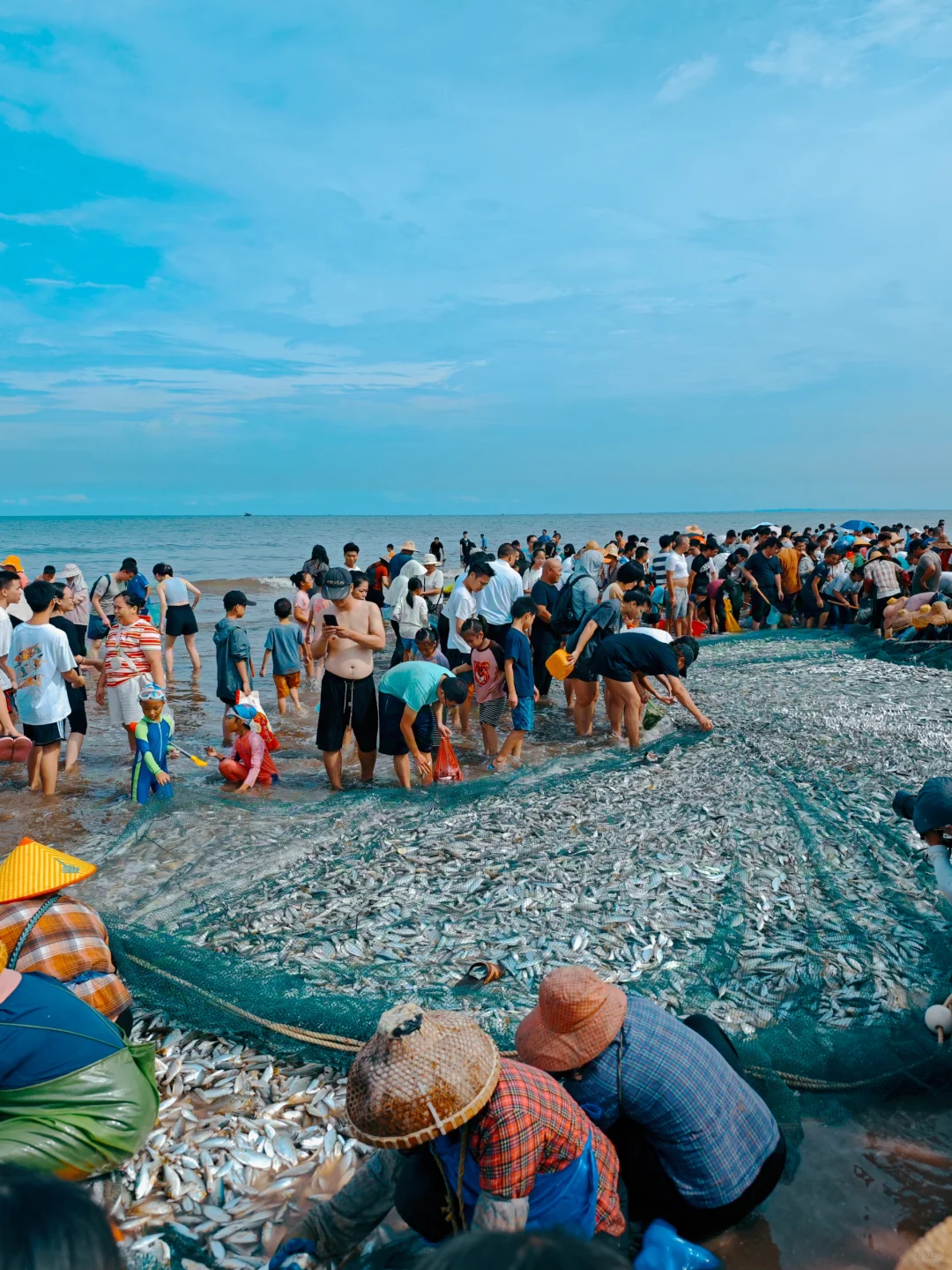 湛江开海啦|丰收季🐟