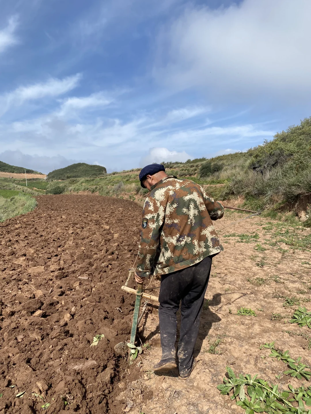 不想在大城市做牛马？那就回家种地！