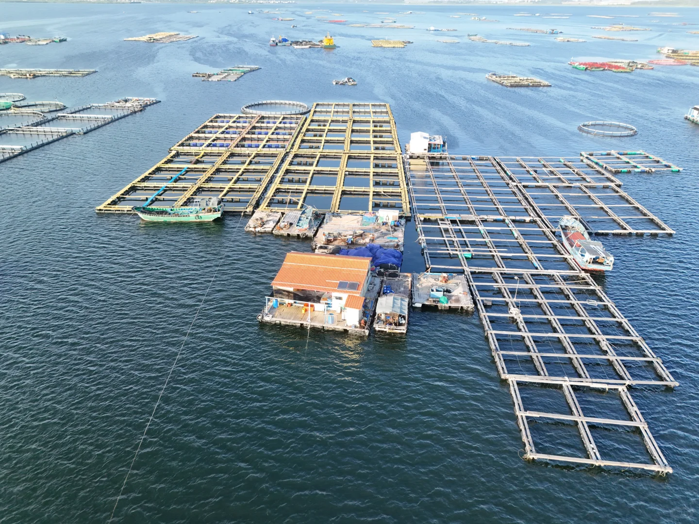 赶海的尽头是海钓的开始🌊