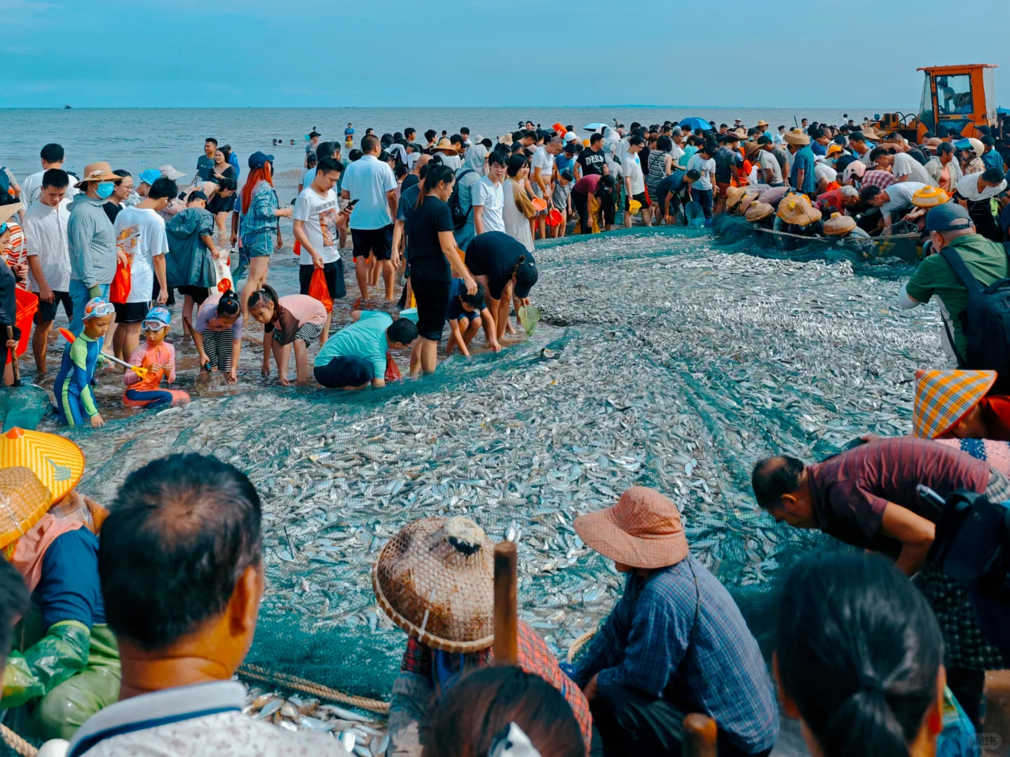 湛江开海啦|丰收季🐟