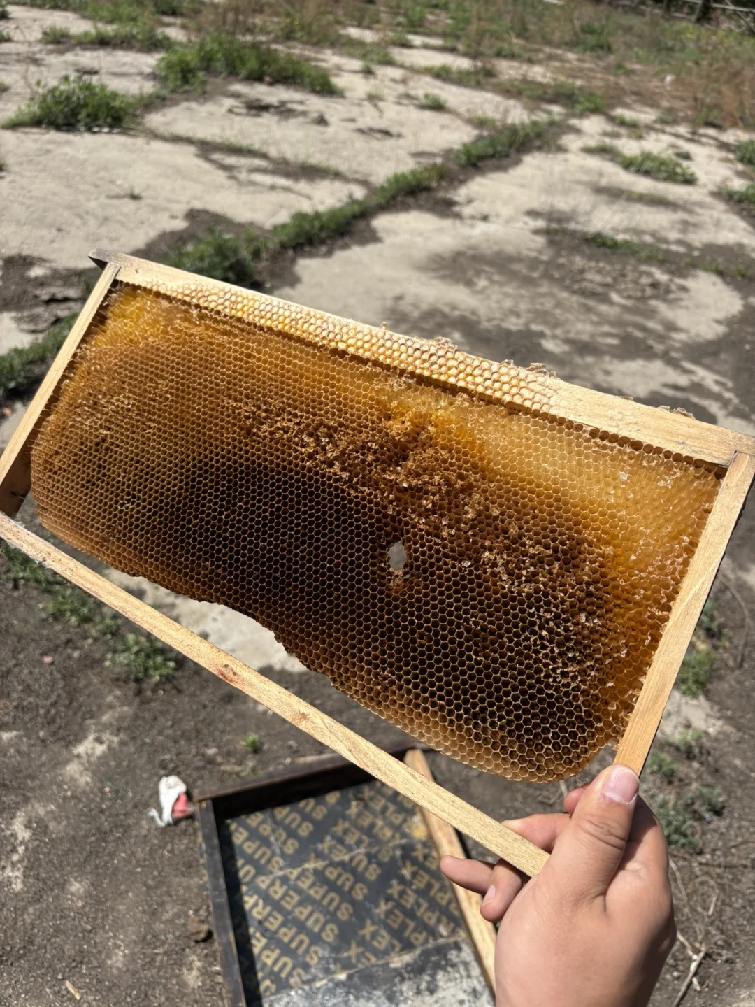 事业编林场入职第二十三天