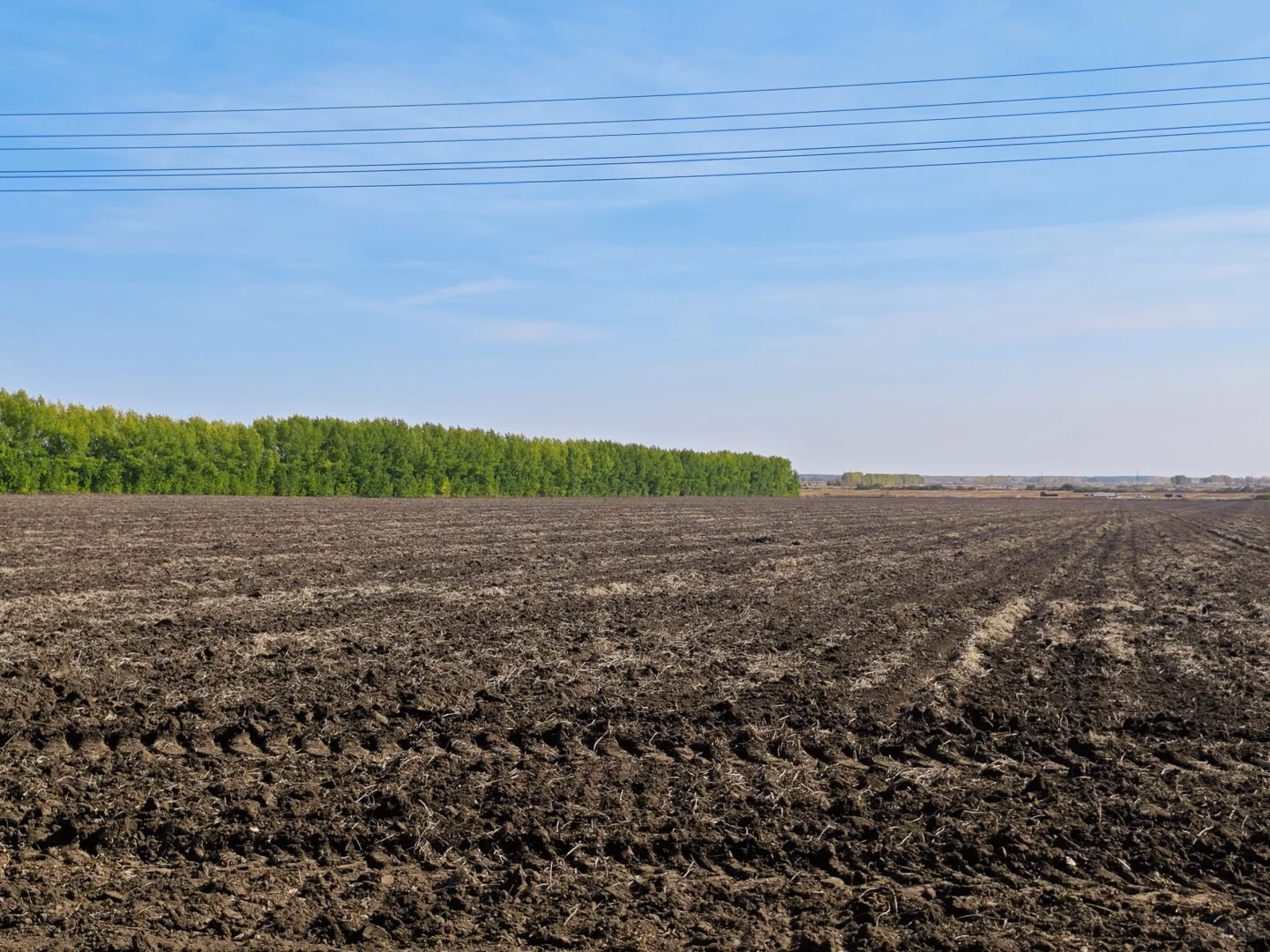 沃野千里，丰收在望