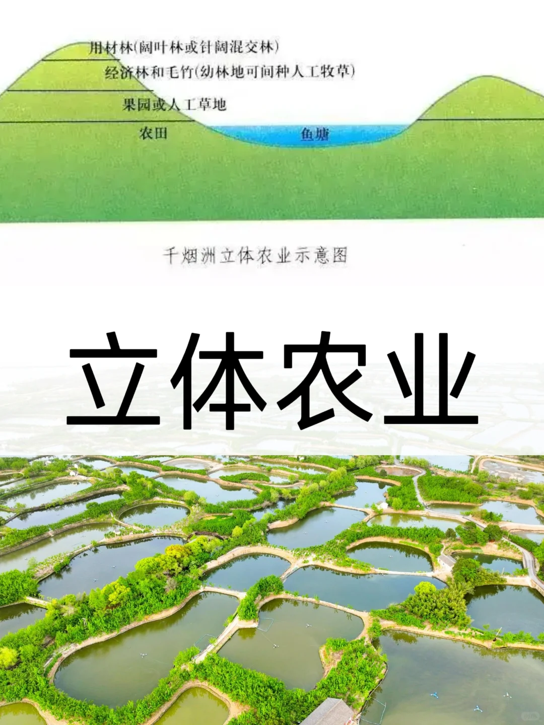 高中地理知识：3️⃣种立体农业
