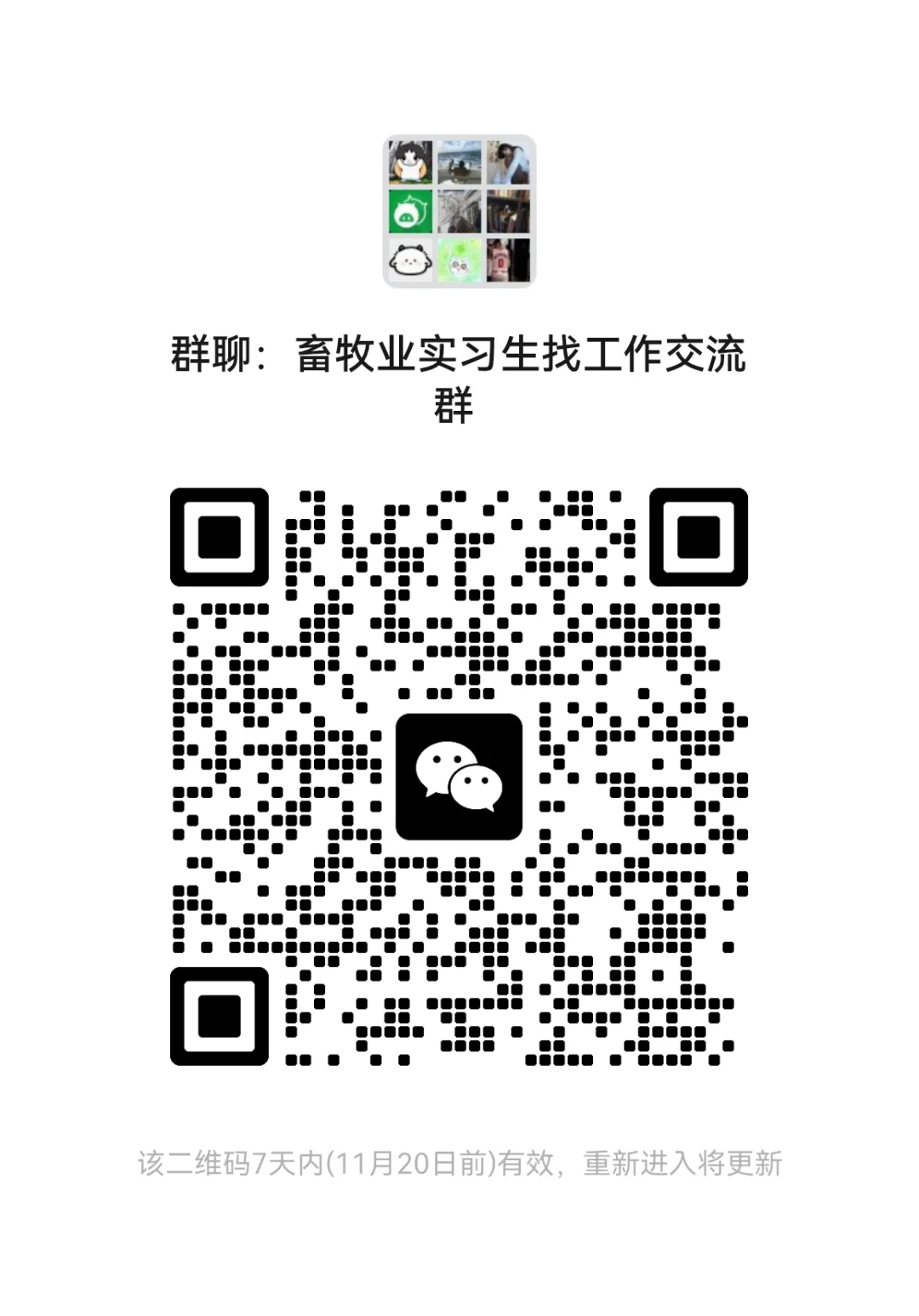 恭喜宝子找到心仪的工作（畜牧工作聊天群）